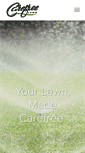 Mobile Screenshot of carefreesprinklers.com